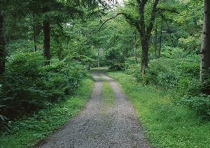 レイキがおすすめなのはどんな人