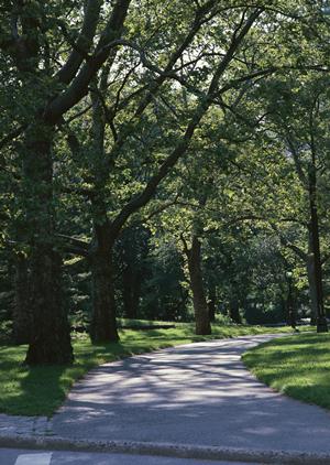 東京・東村山市で前世療法を受ける